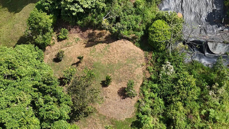 Oceanview Paradise Near San Luis Waterfall Ready to Build Morete, Uvita, Puntarenas, Costa Rica - Gallery image 6