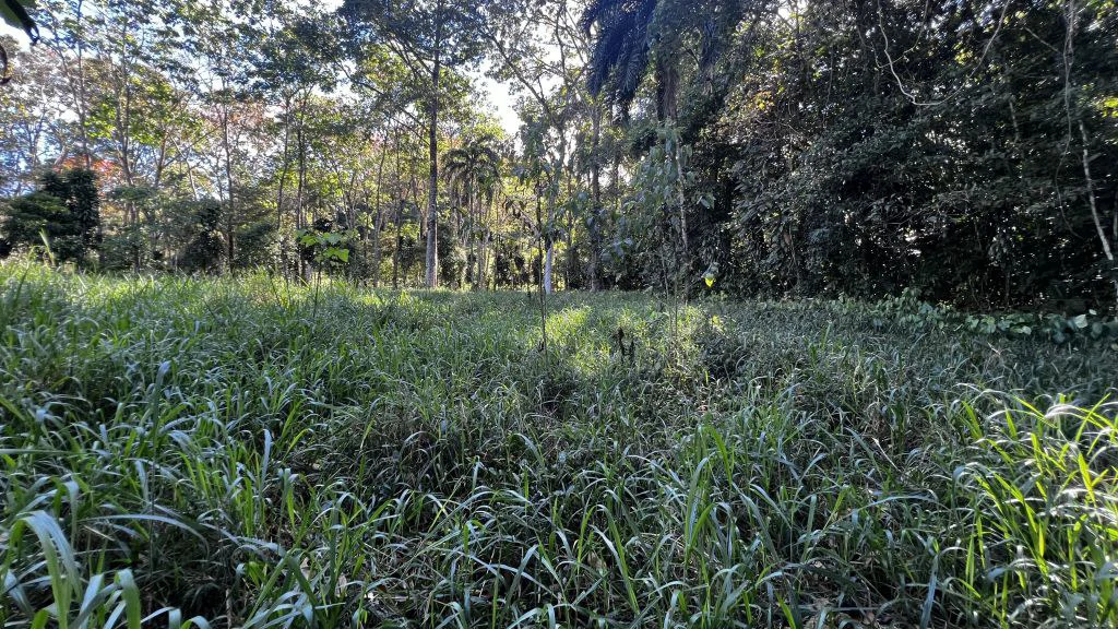 Mountain Home Construction Site For Sale in Guadalupe - photo 8