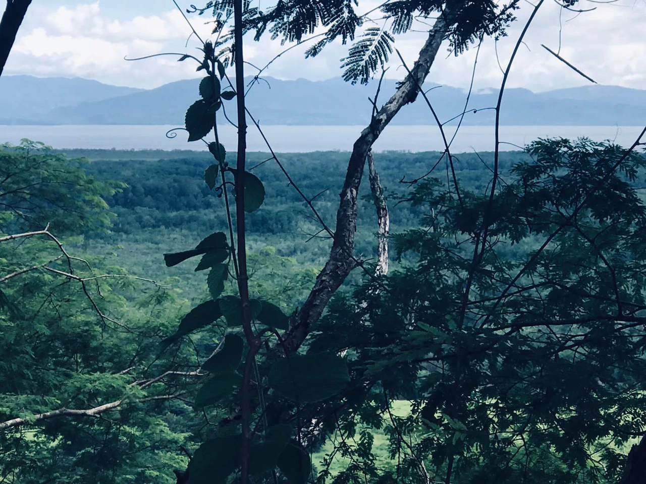 Amazing 50% discount for Huge ocean-view farm for sale surrounded by soft rolling hills and pristine nature - Gallery image 44
