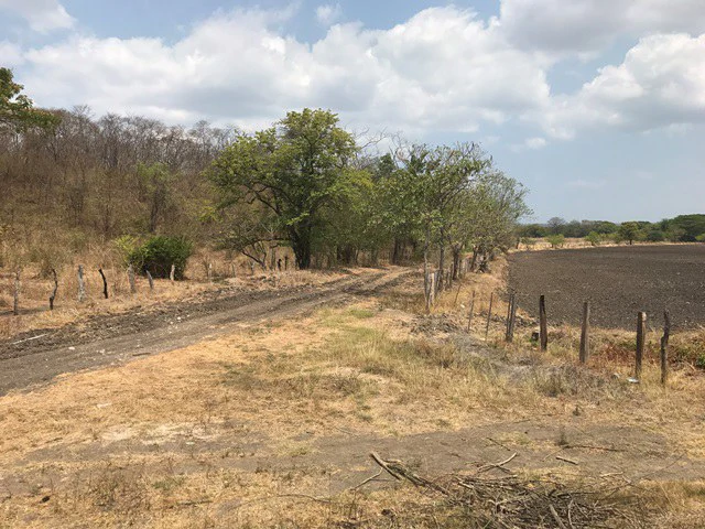Great opportunity: Big property in Palmira de Carrillo - Gallery image 9