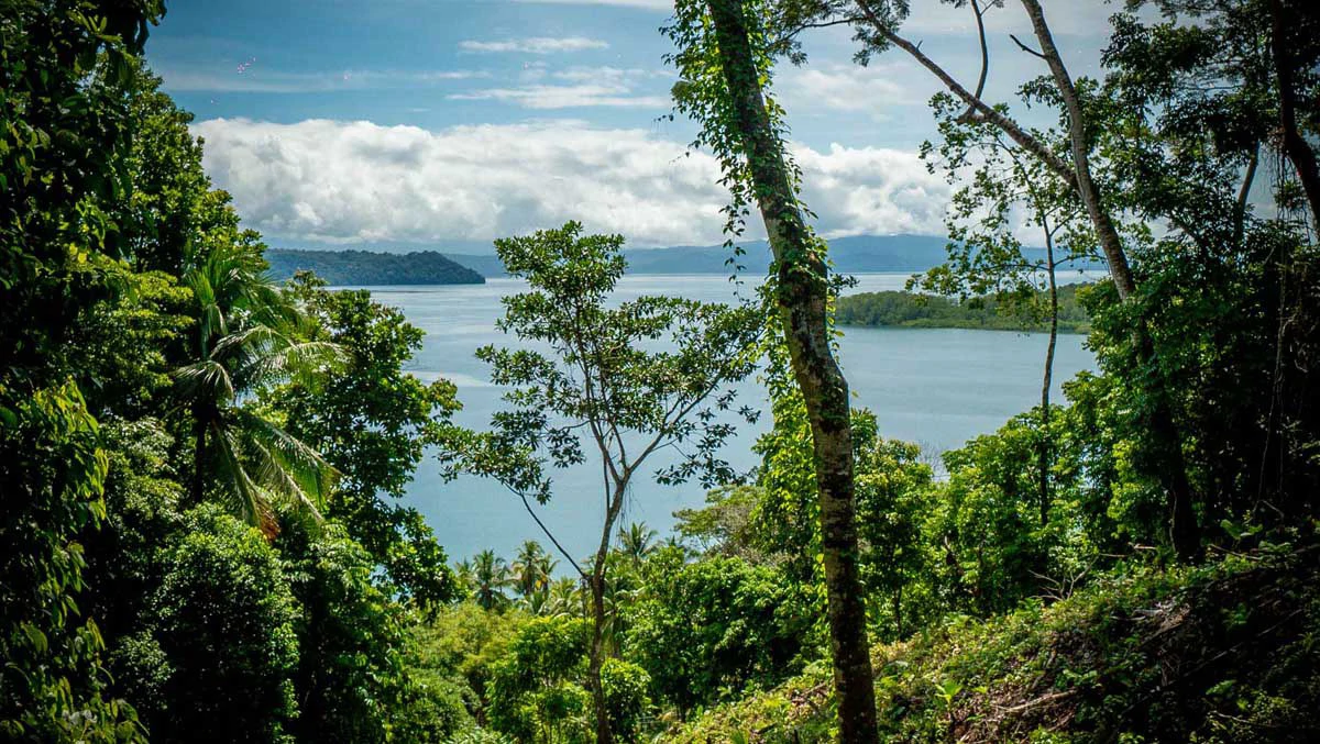 Rincon Mountain Land Gulf View | A Breathtaking Landscapes of Rincon - Gallery image 26