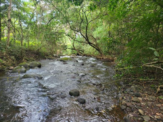 Charming property for sale in Nueva Guatemala with stunning views of the Tenorio Volcano and the beautiful green valleys - Gallery image 2