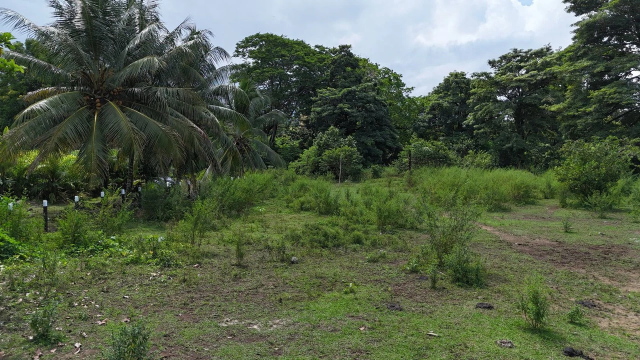 Walk to the beach, Developement Land, Mini Ranch, Central Uvita - Gallery image 4