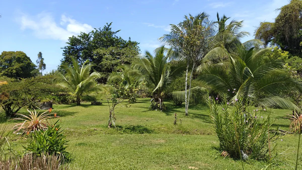 ID 945: 1 Hectare Food Production Estate with 200 sqm Private Pool and Livestock in San Miguel - Gallery image 6