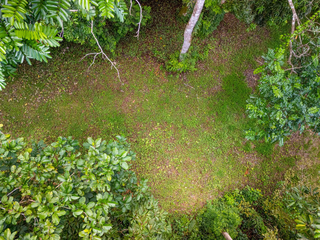 Tropical Paradise in Cascada Sándalo, Tres Ríos Ocean & Mountain Views | Gated Community | Abundant Nature - Gallery image 13