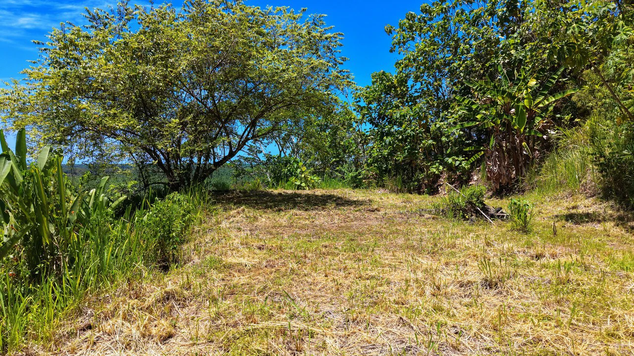 Near the Coast Home Construction Site For Sale in Ciudad Cortés - Gallery image 14
