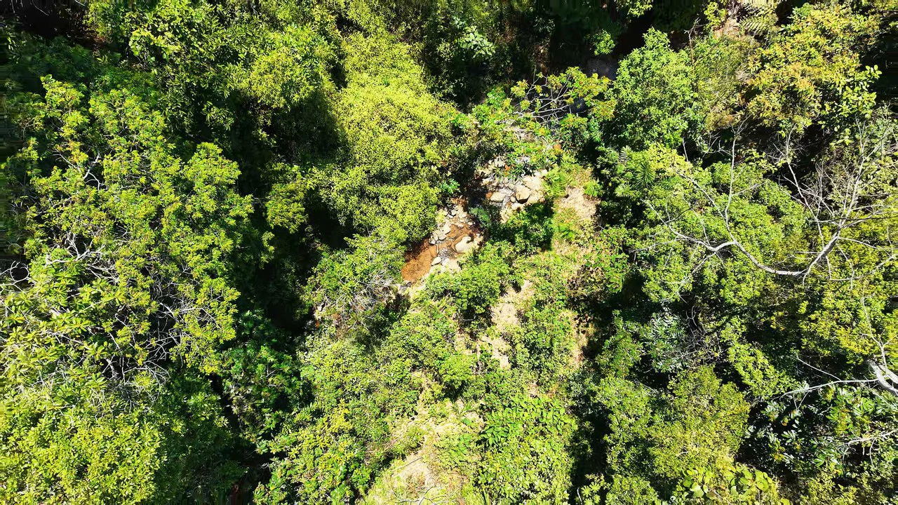 Agricultural Land For Sale in MORAZAN - Gallery image 21
