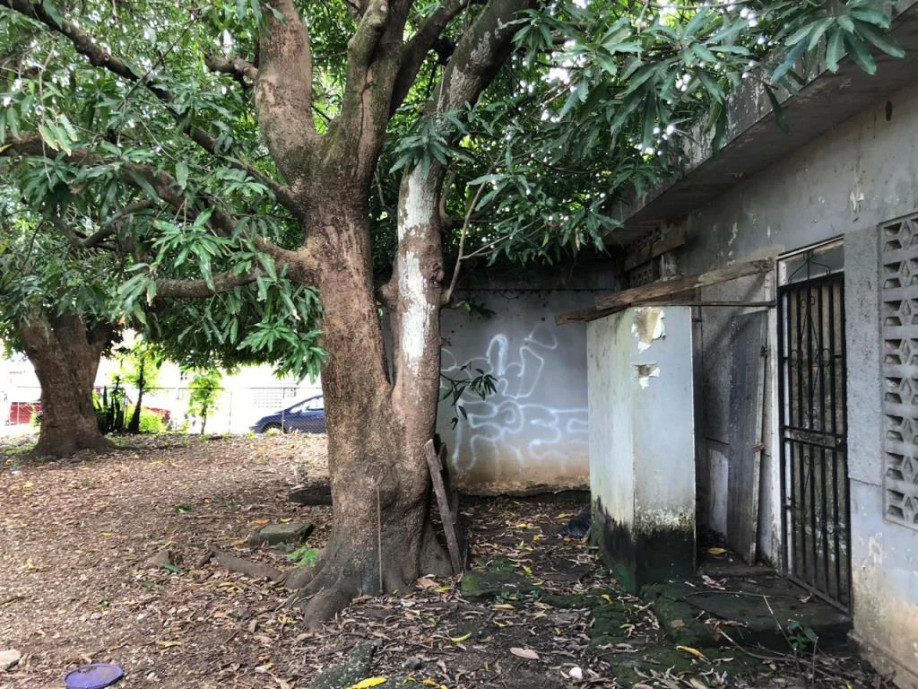 Corner lot in the Center of Nicoya - Gallery image 10