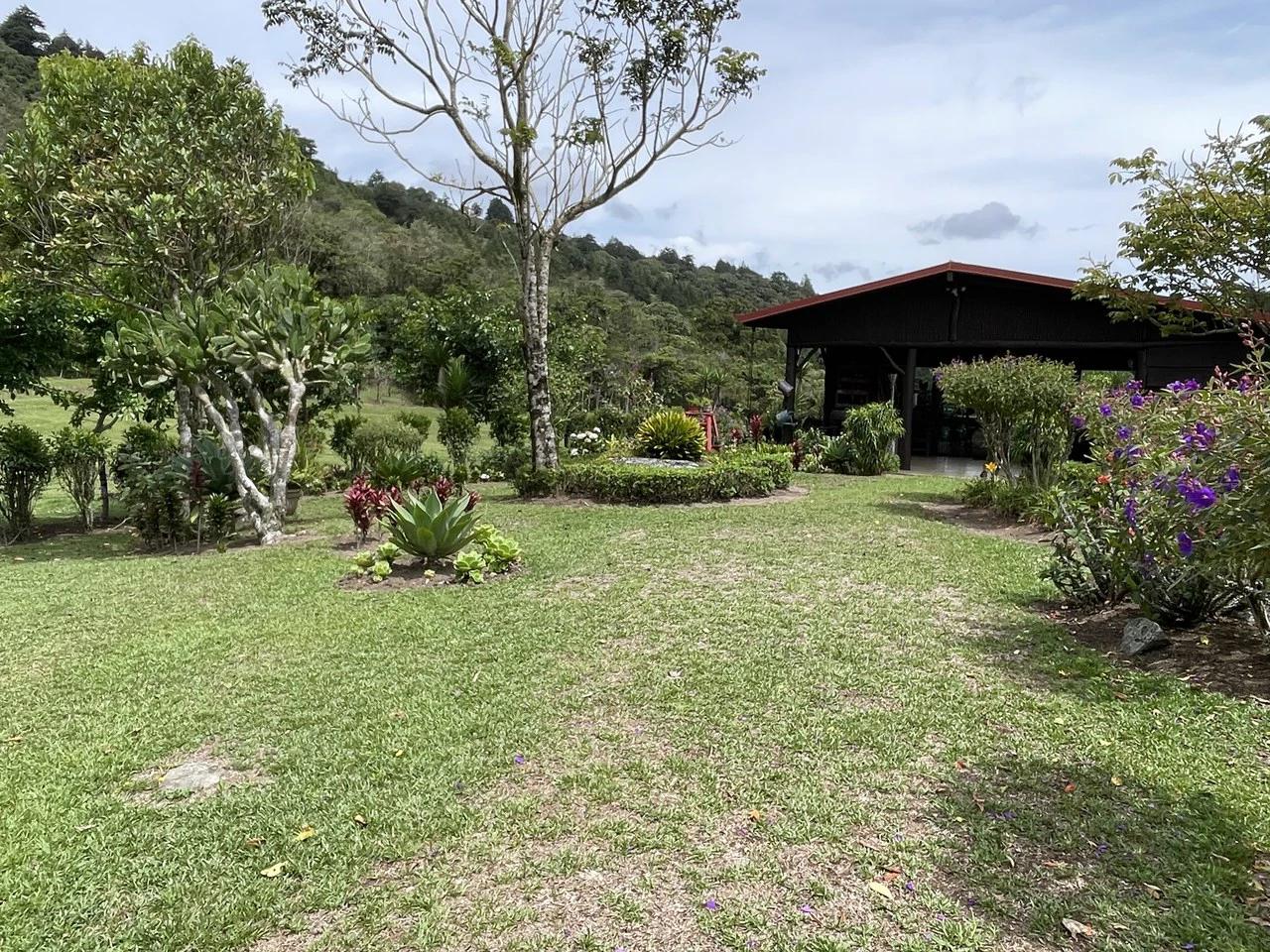 Cartago, gourmet coffee plantation: Charming Coffee Retreat Home with Stunning Views and Gourmet Coffee Plantations - Gallery image 17