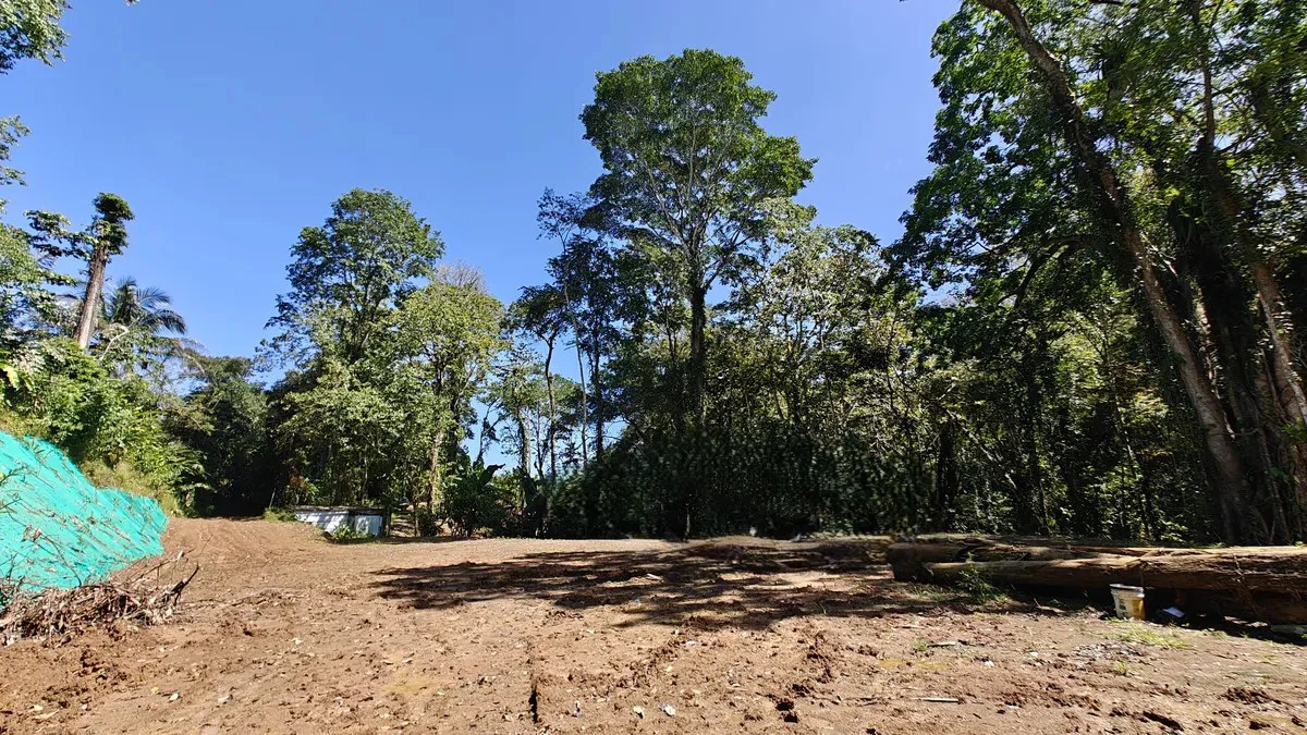 ID 1016: 6974m² Cahuita Titled Jungle Land Near the Beach - Gallery image 4