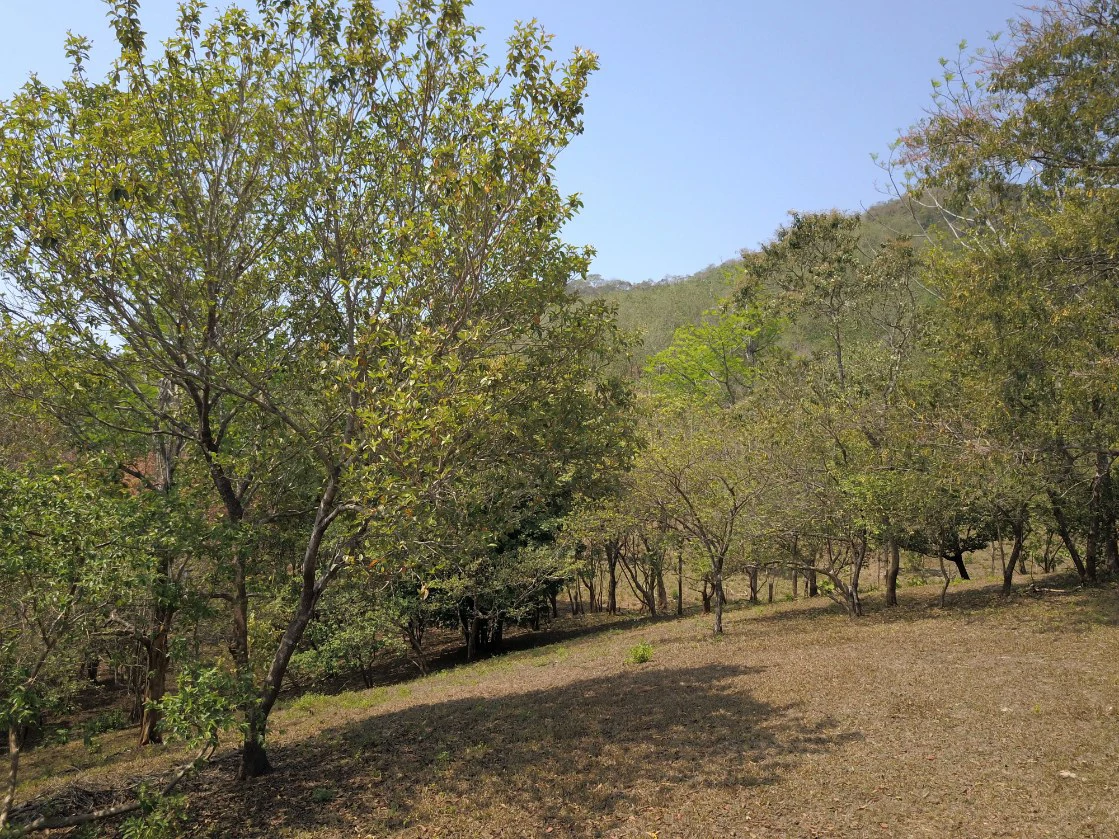 Stunning Views in Nandayure Valley -Amazing land near Bejuco and Pilas beaches Path - Gallery image 4
