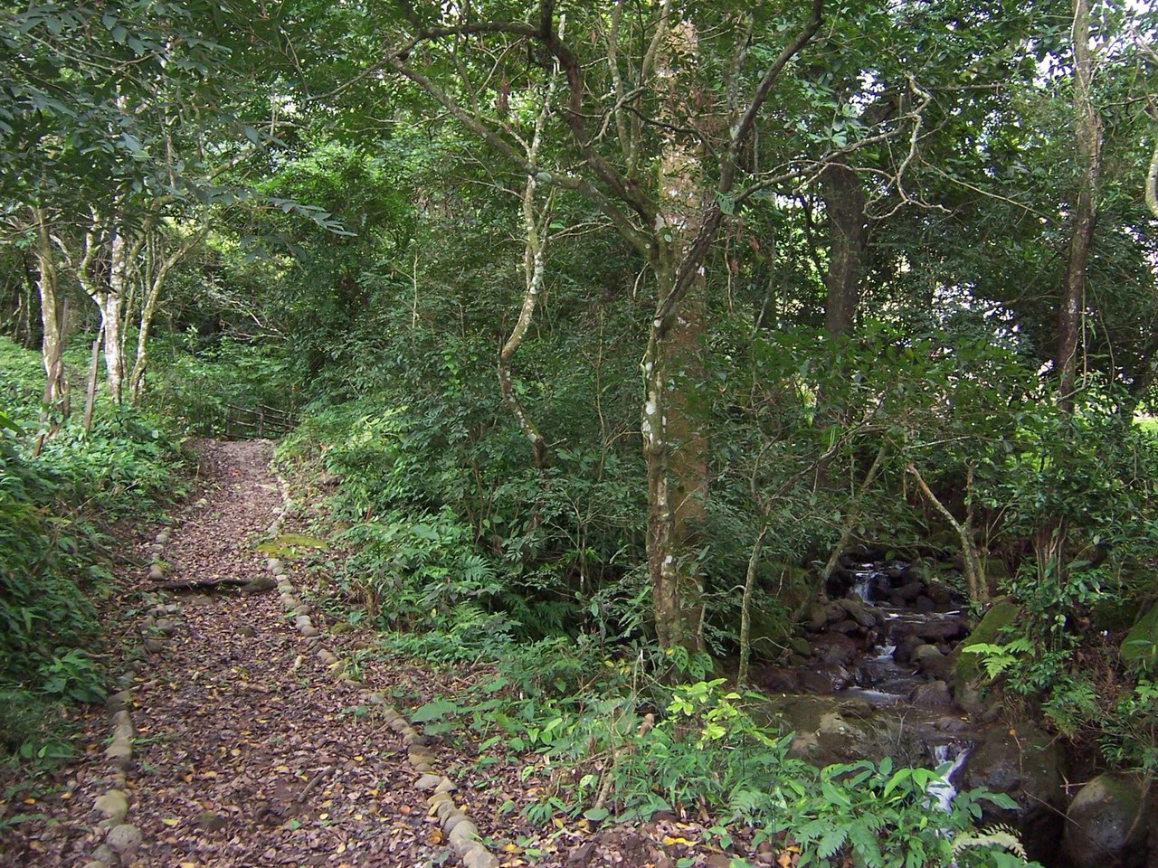 Lot for Sale in Gated Community Cerro Colon Ciudad Colon Costa Rica - Gallery image 27