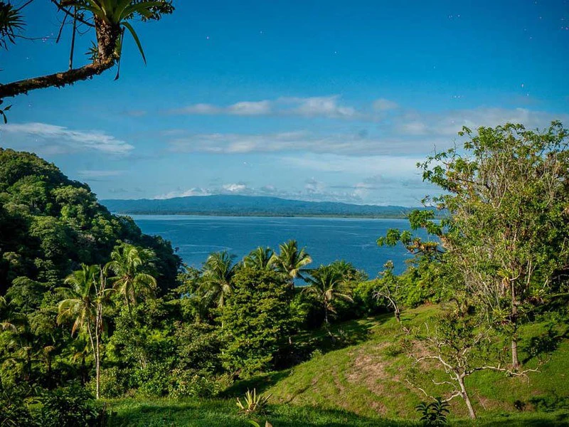 Bahía Chal Gulf View Close to Puerto Jimenez - Gallery image 9
