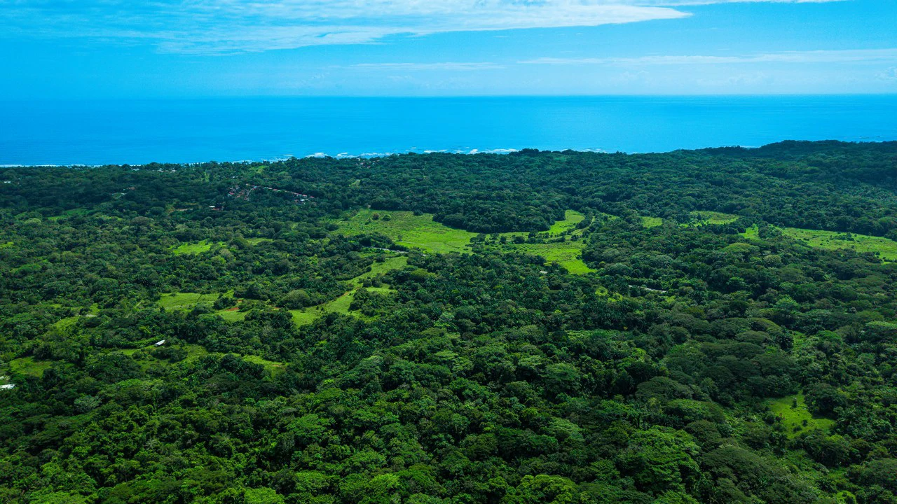 4,850 Acre Beachfront Legacy Ranch Esterillos Central Pacific Coast - Gallery image 23