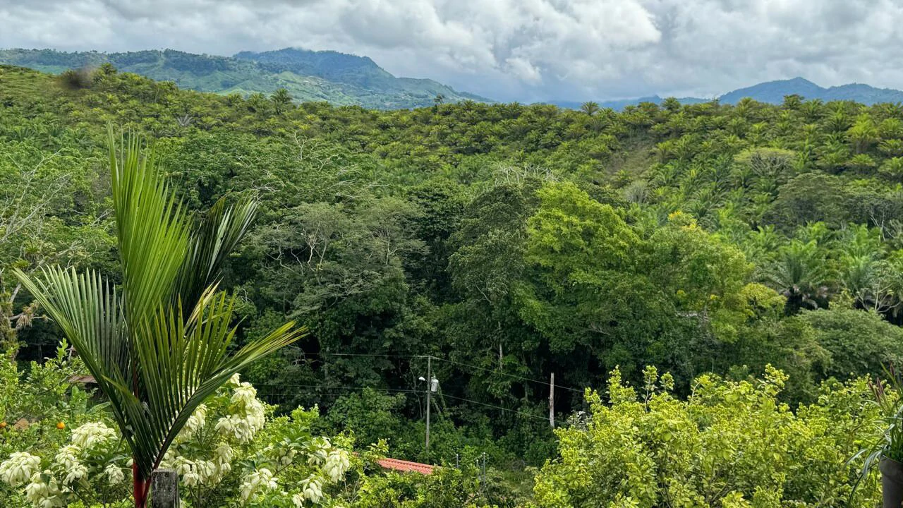 Charming Hardwood Cabin with Fruit Garden Near San Isidro - Gallery image 63