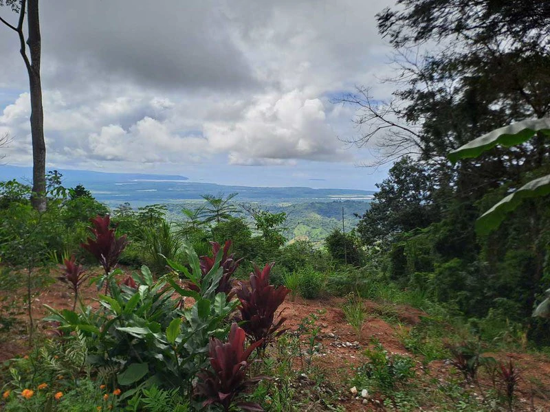 Where Ocean Vistas, Jungle Symphony, and Mountain Breezes Unite! - Gallery image 2