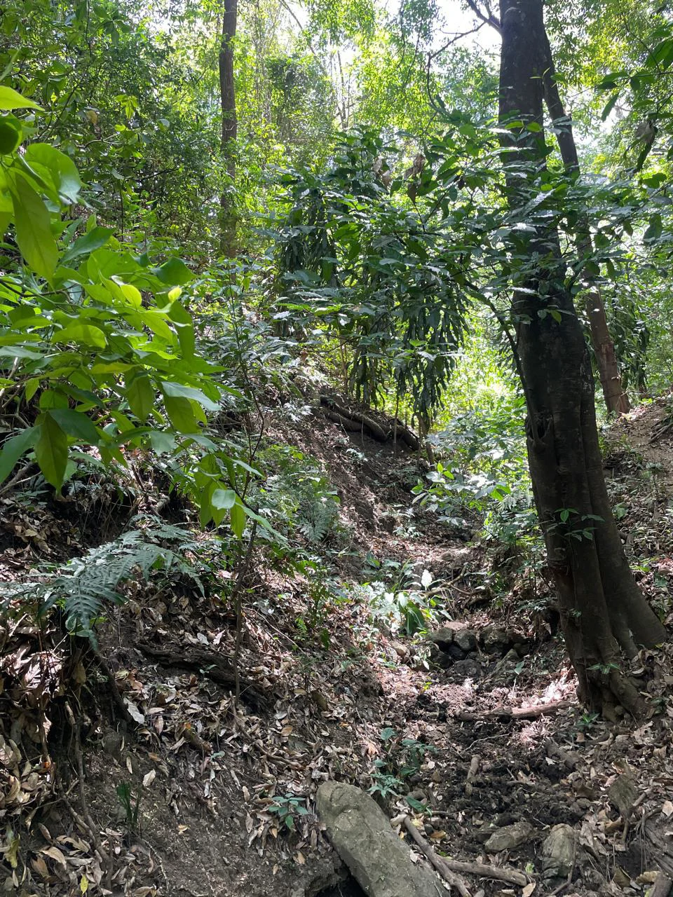 Ocean view property for sale Rodeo Ciudad Colon San Jose Costa Rica - Gallery image 14