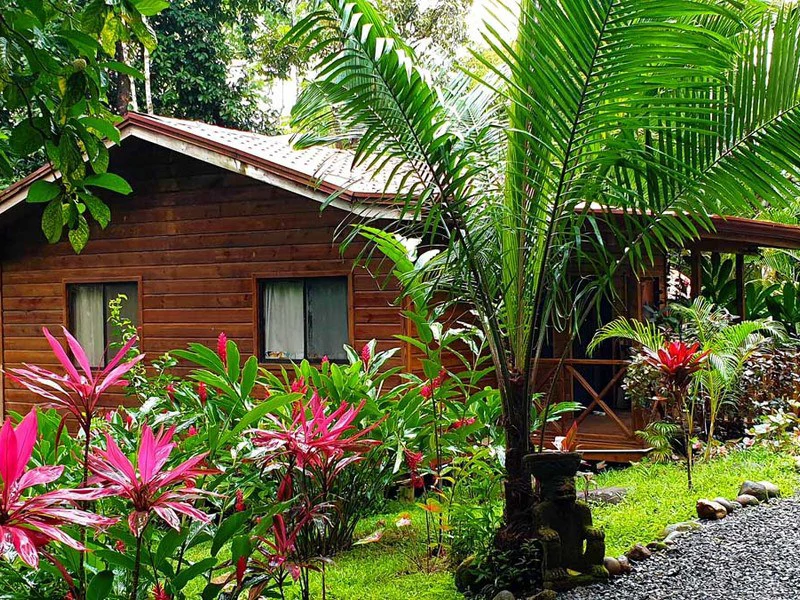 8 Cabinas with Swimming Pool on Lush Jungle Property in Uvita - Gallery image 24