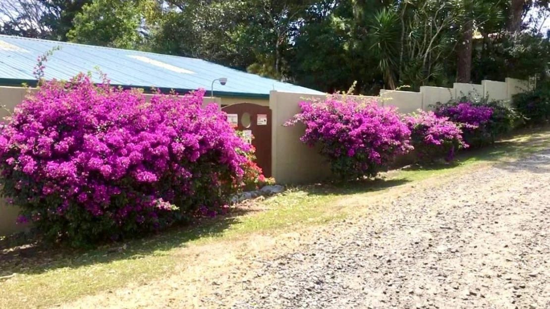 BAMBOO GARDEN - Large Country Home - Ready for Your Personal Touch! - Gallery image 4