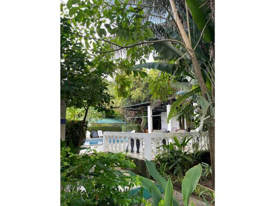 Tropical Garden Hotel Downtown Jaco - Gallery image 22