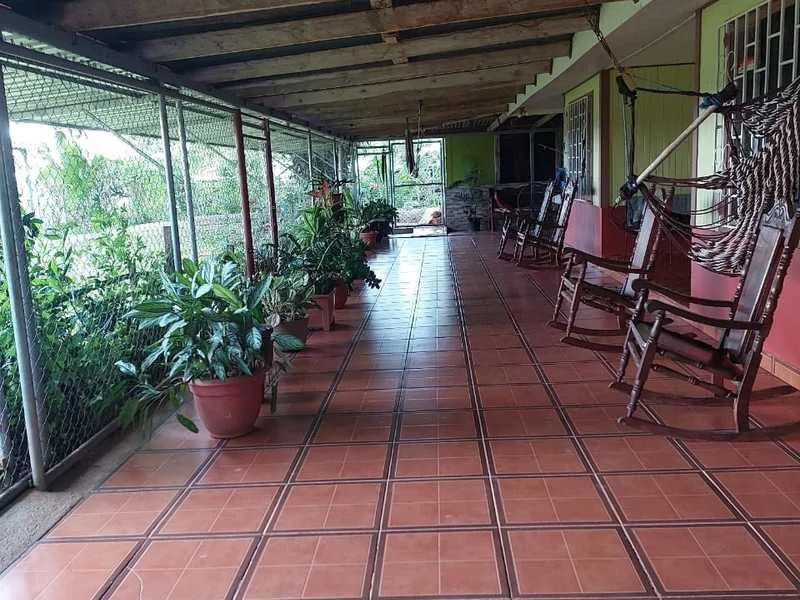 Livestock Farm | Titled property located in Santa Eduviges - Gallery image 28
