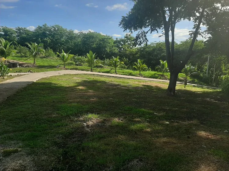Organic Finca Eco Dreams: $799,000 USDOrganic Finca Eco Dreams – Sustainable Eco Farm for Sale Near Playa Naranjo, Costa Rica Luxury Self-Sustainable Farm, Solar-Powered Estate & Investment Property o - Gallery image 33