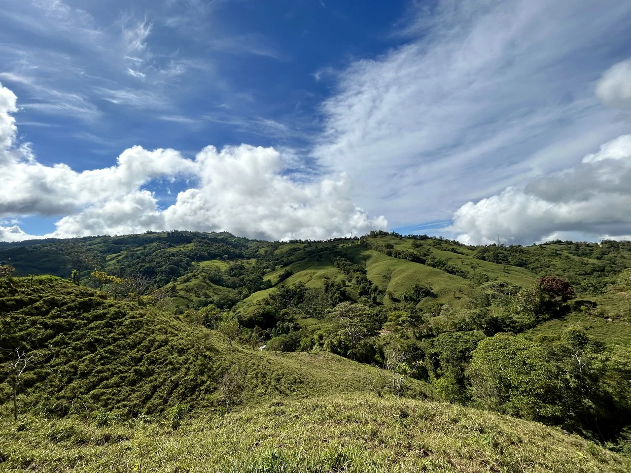 Finca Ceibo Memo: Mountain Home Construction Site For Sale in San Isidro del General - Gallery image 33