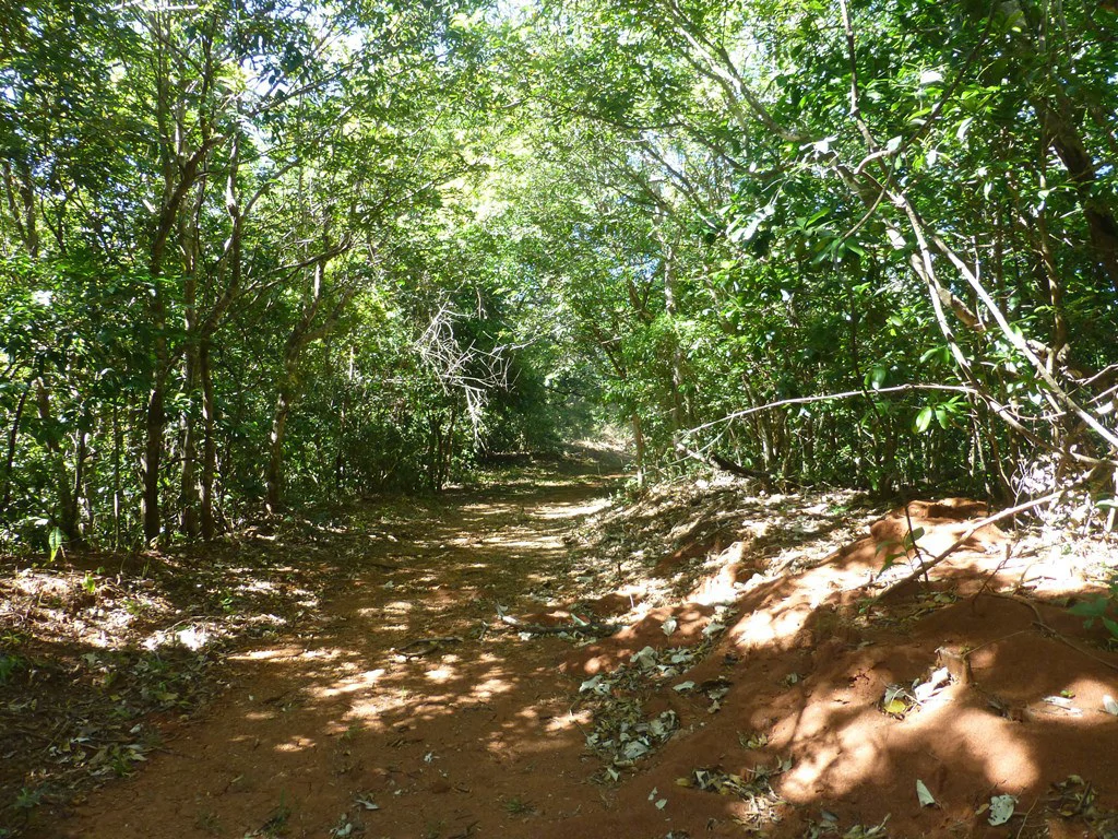 Ocean view farm for sale in the mountains of San Juanillo - Gallery image 26