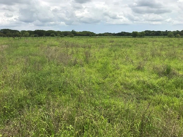 Commercial Development Land for Sale in Guanacaste, Costa Rica - Gallery image 3