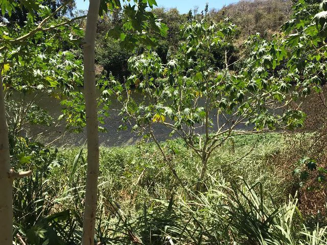 Huge terrain for sale in Guardia close to the International Airport of Liberia - Gallery image 19