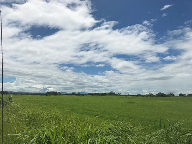 NYA project Price $ 17 m². 21 hectares - Gallery image 5