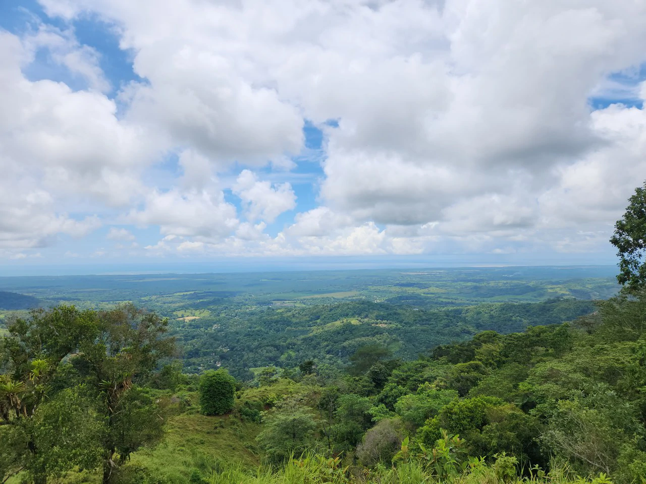 PRIME PARRITA FARM FOR SALE - Gallery image 52