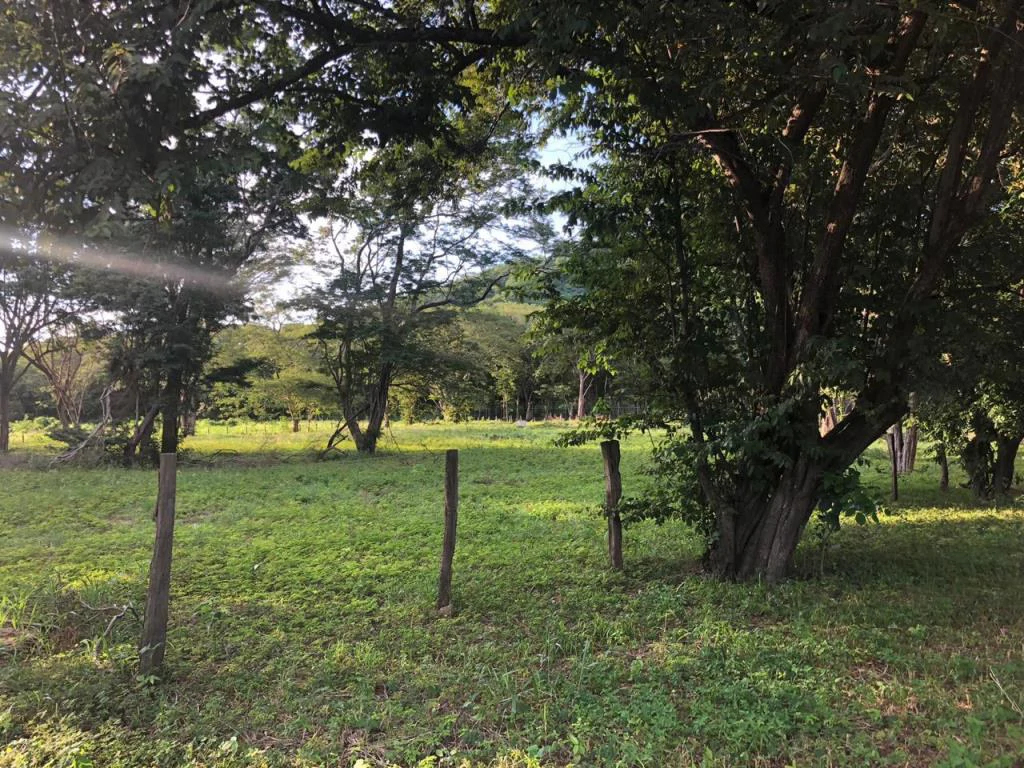 Large Commercial Property in Playa Hermosa, Guanacaste, Costa Rica - Gallery image 10