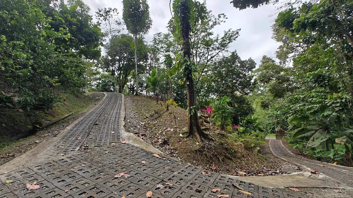 ID 925: Elevated Jungle Property with Two Residences, Open Air Living Space, and Mountain Views - Gallery image 16
