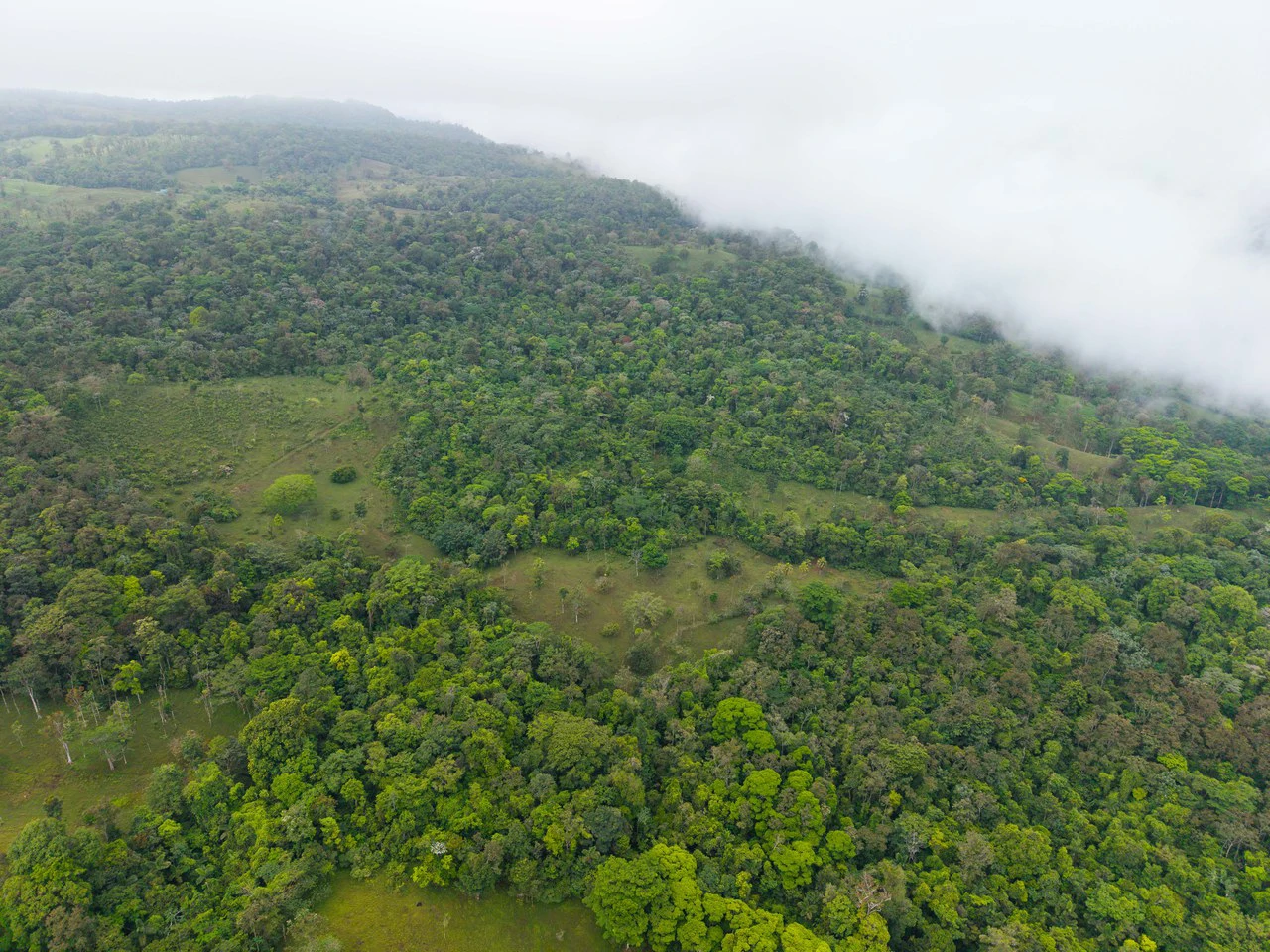 Finca Las Zompopas-Río Celeste: 113-Acre Biodiverse Property in Bijagua, Ideal for Eco-Tourism, Private Retreats, or Sustainable Development - Gallery image 18