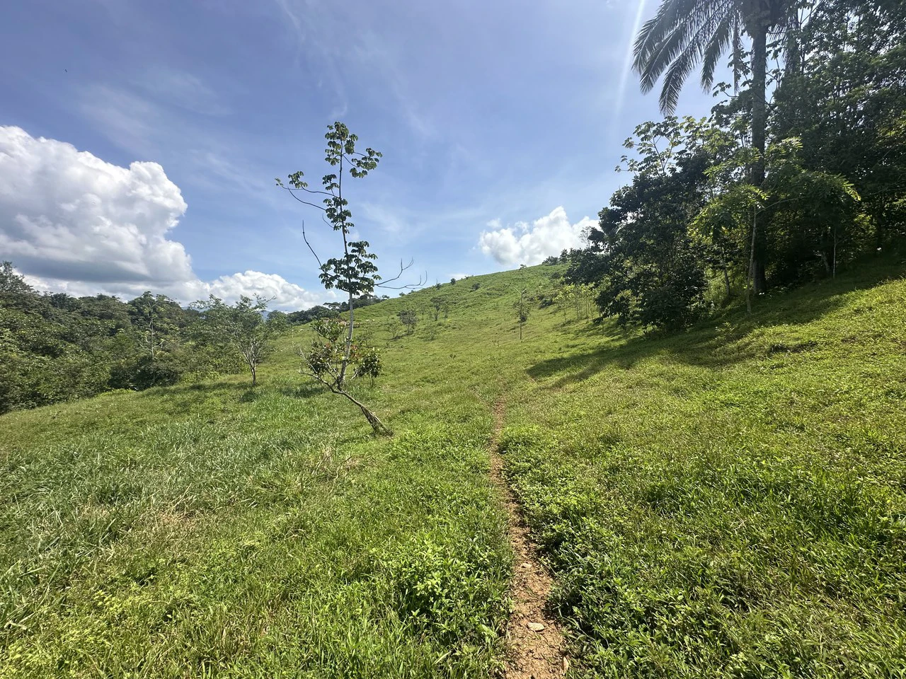 8.78 Acres Mountain View Estate with Water, Infrastructure & Endless Development Potential | Platanillo de Barú, Costa Rica - photo 13