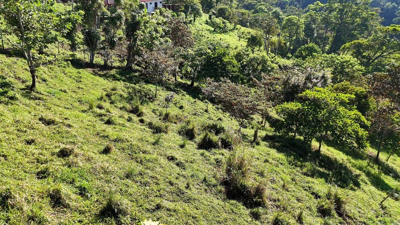 Lote frente a RISE: Mountain Agricultural Land For Sale in El General - Gallery image 11