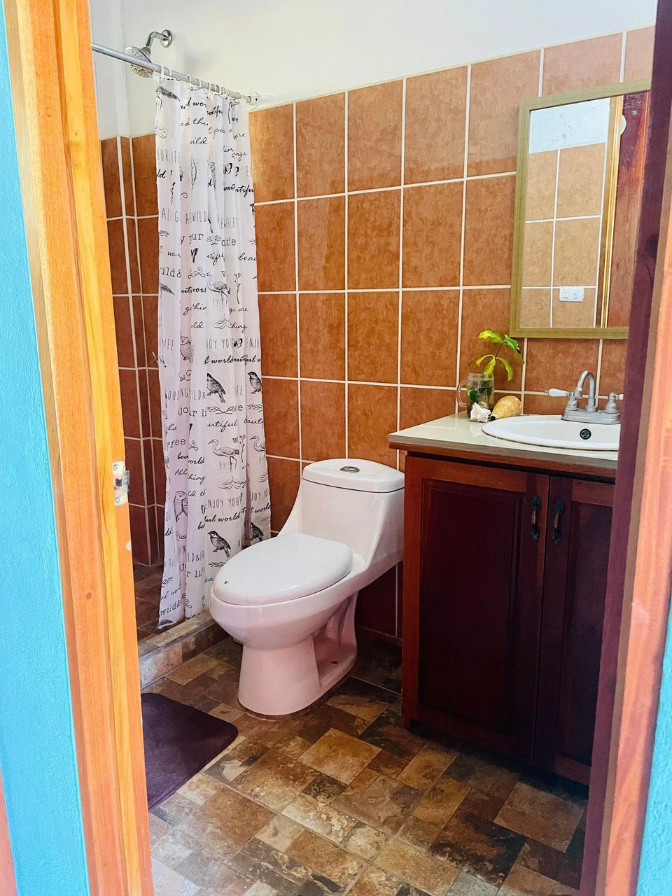 Casa Surfside: Huge Price Drop - Seller Facing Health Issues - Must Sell Quickly - 3 Rental Units with Main 2/2 Home and Pool - Walk or Bike to Beach and Town. - Gallery image 29