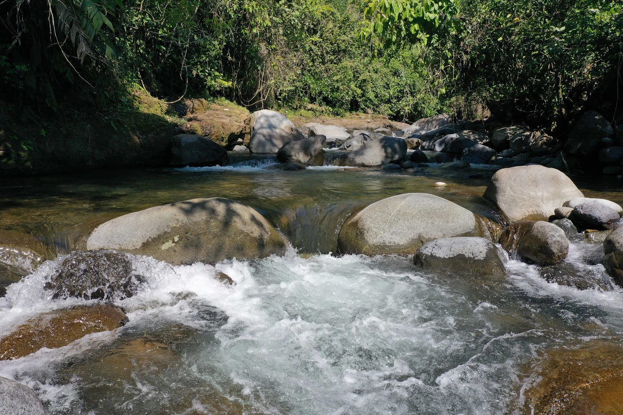 8 Acre Riverfront Sanctuary in San Pedrito Pérez Zeledón - Gallery image 27