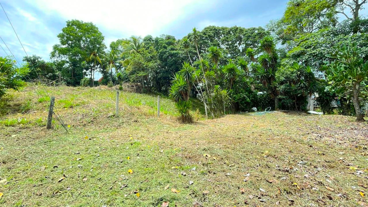 Lot for Sale Near Downtown Atenas, Alajuela – Residential or Commercial Use - photo 5