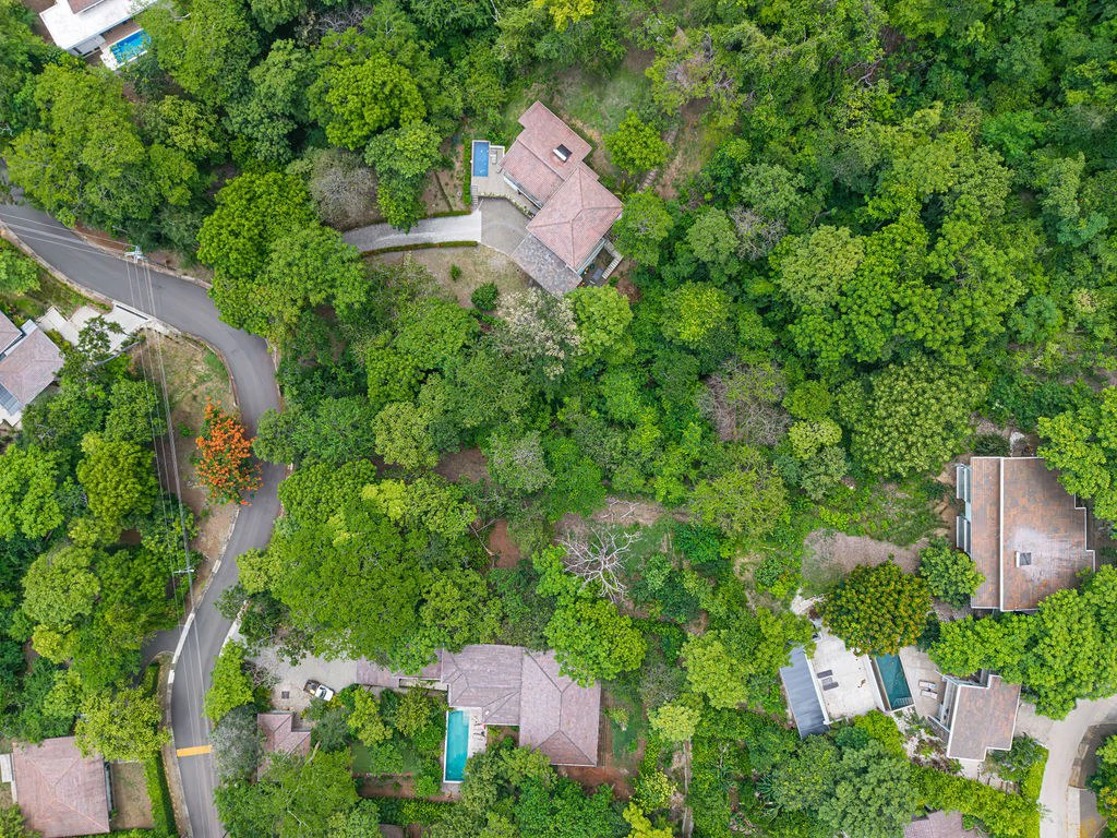 Lot 24 Cara Cara: Exceptional Forest Homesite in Las Ventanas de Playa Grande - Gallery image 2