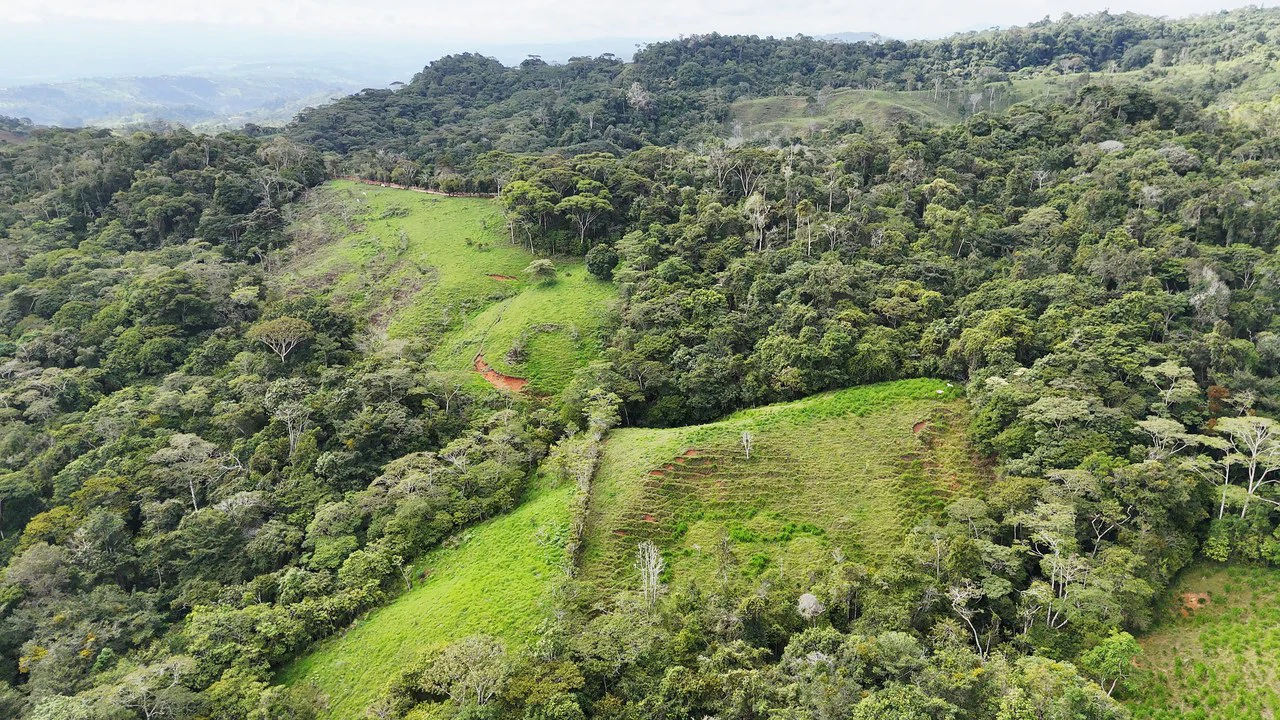 Mountain Agricultural Land For Sale in San Isidro del General - Gallery image 5