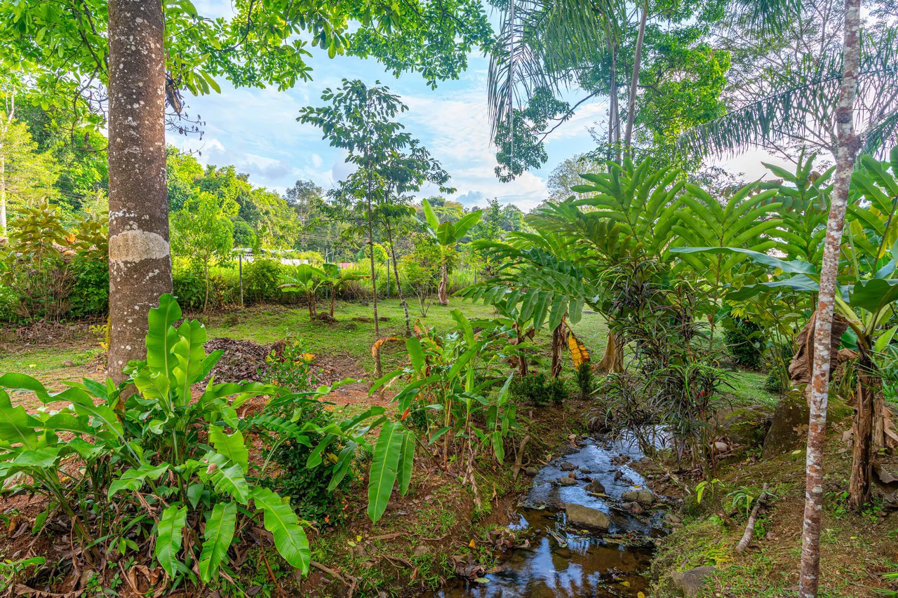 Creekside Harmony Villa | 4 Bedrooms • 2 Bathrooms • Private Pool • Surrounded by Nature - Gallery image 32