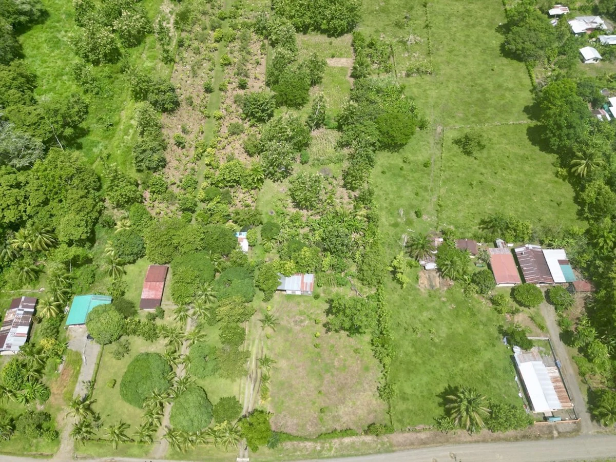Large Building Lot Near Puerto Jiménez