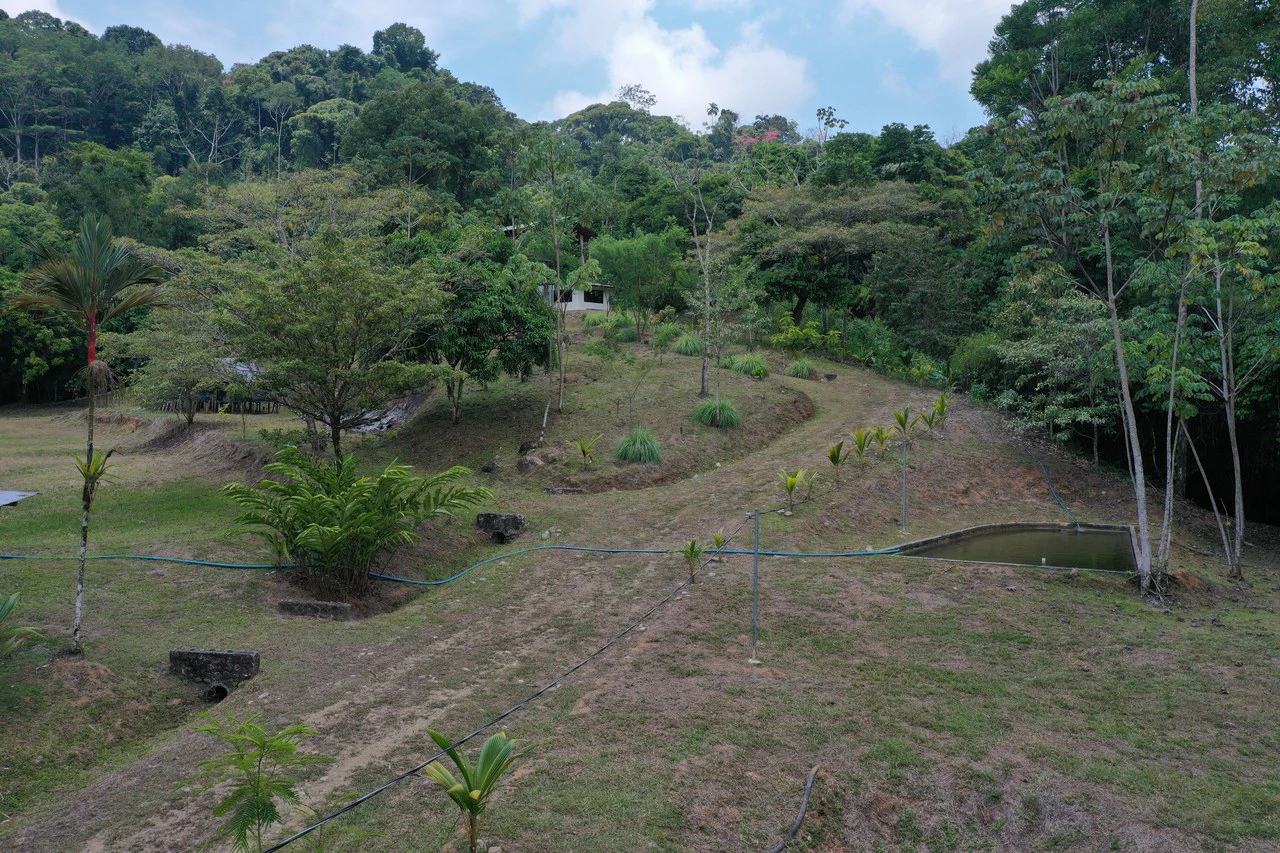 50 Acre Waterfall and River Paradise Above Dominical - Gallery image 56