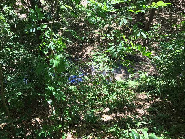Huge terrain for sale in Guardia close to the International Airport of Liberia - Gallery image 25