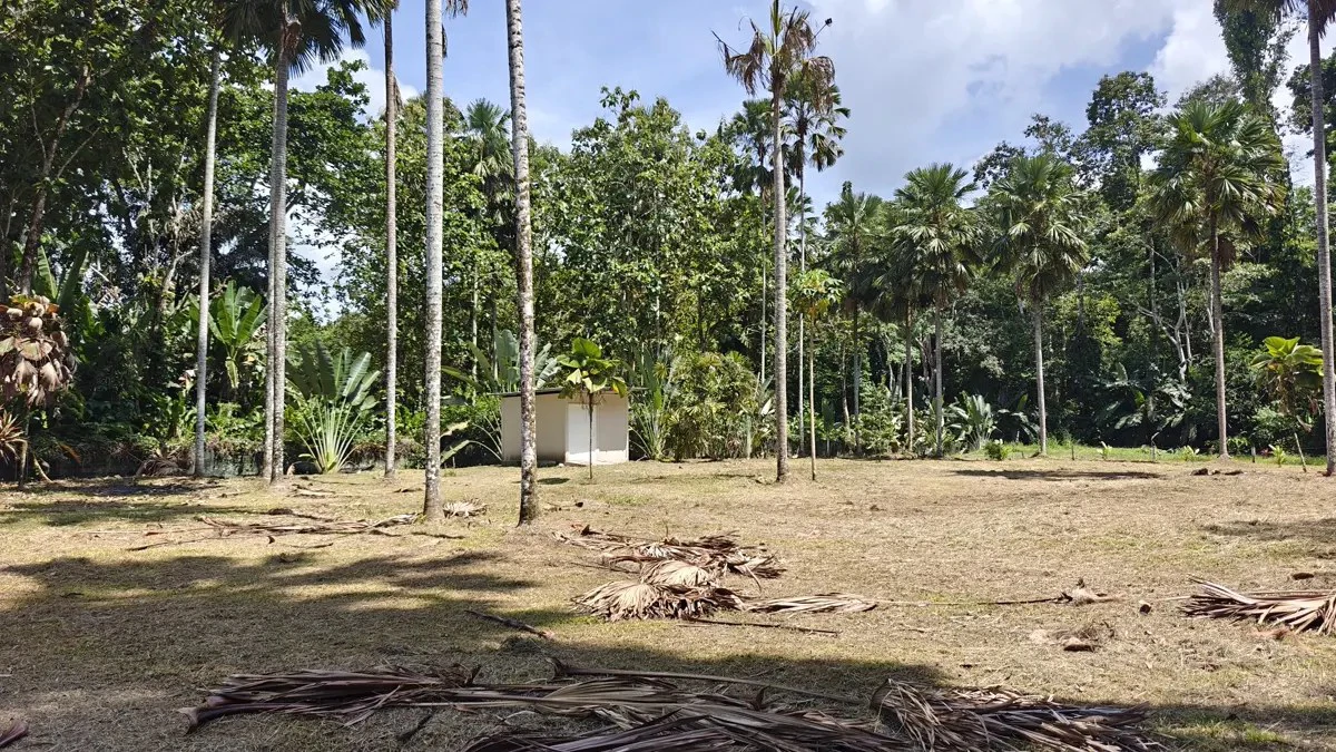 ID 949: 1,547 sqm Build-Ready Lot Near Cahuita and Playa Grande - Gallery image 6