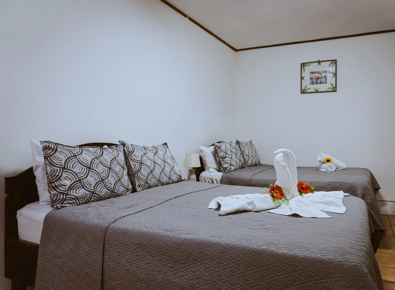 Monteverde Hotel & Attached 3-Bedroom House with Scenic Views CP0626: Boutique Hotel with Attached Private Residence in Monteverde – Turnkey Investment - Gallery image 15