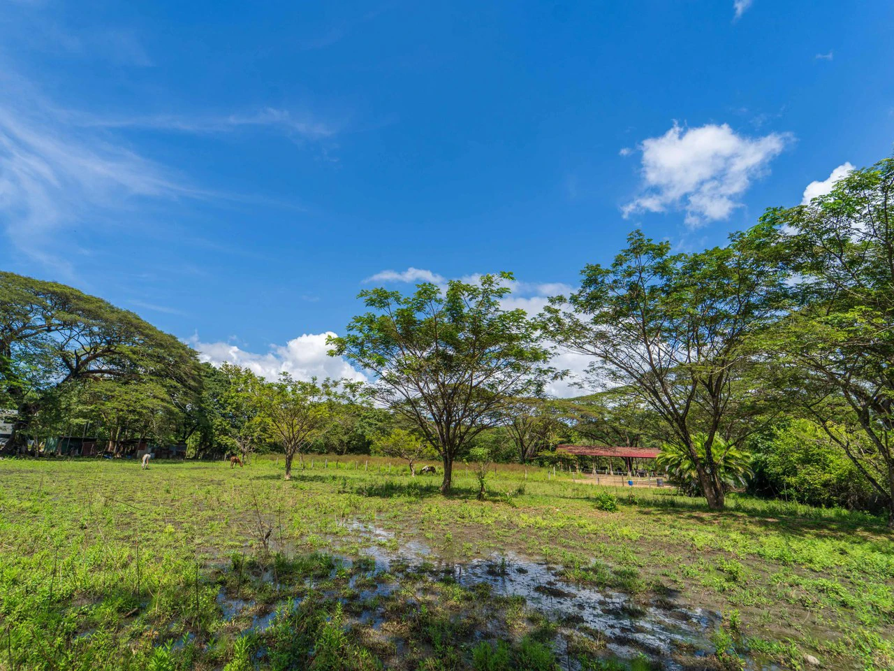 Campo del Sol Lot: 0.58 Acre Lot In Between 2 Beaches - Gallery image 4