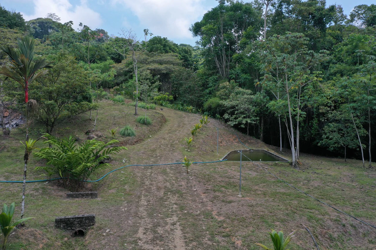 50 Acre Waterfall and River Paradise Above Dominical - Gallery image 43